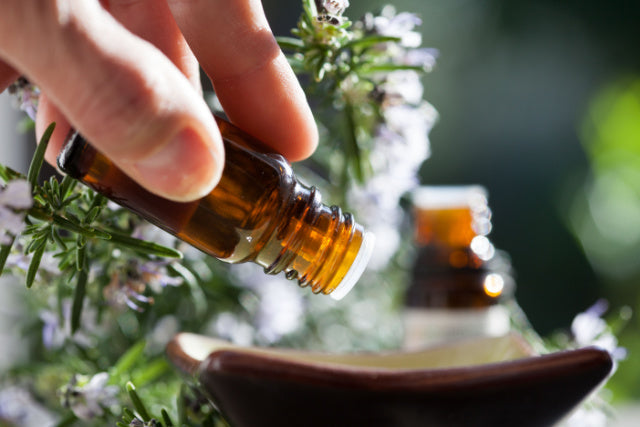 Why Should You Choose Rosemary Oil for Hair Care?