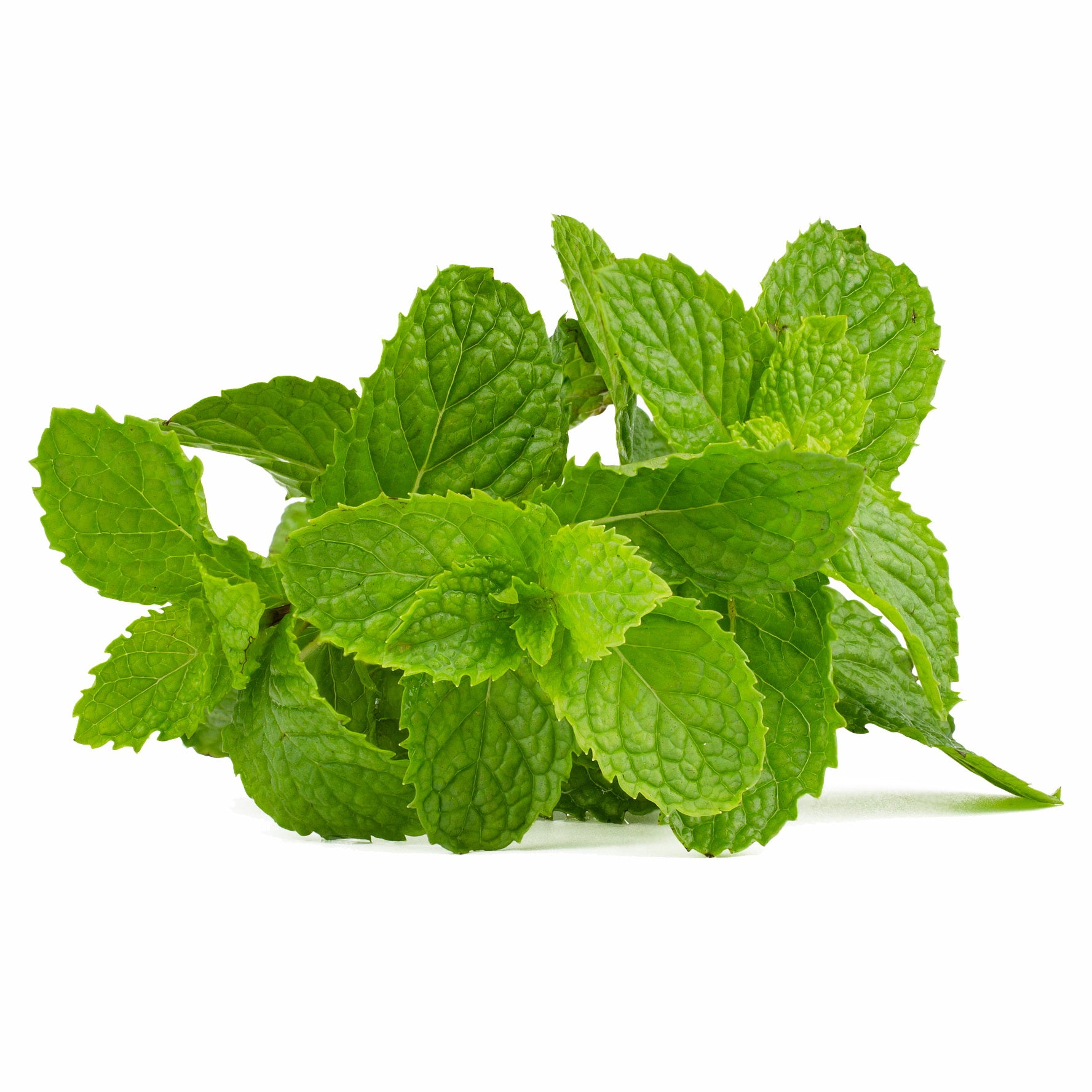 Peppermint Oil