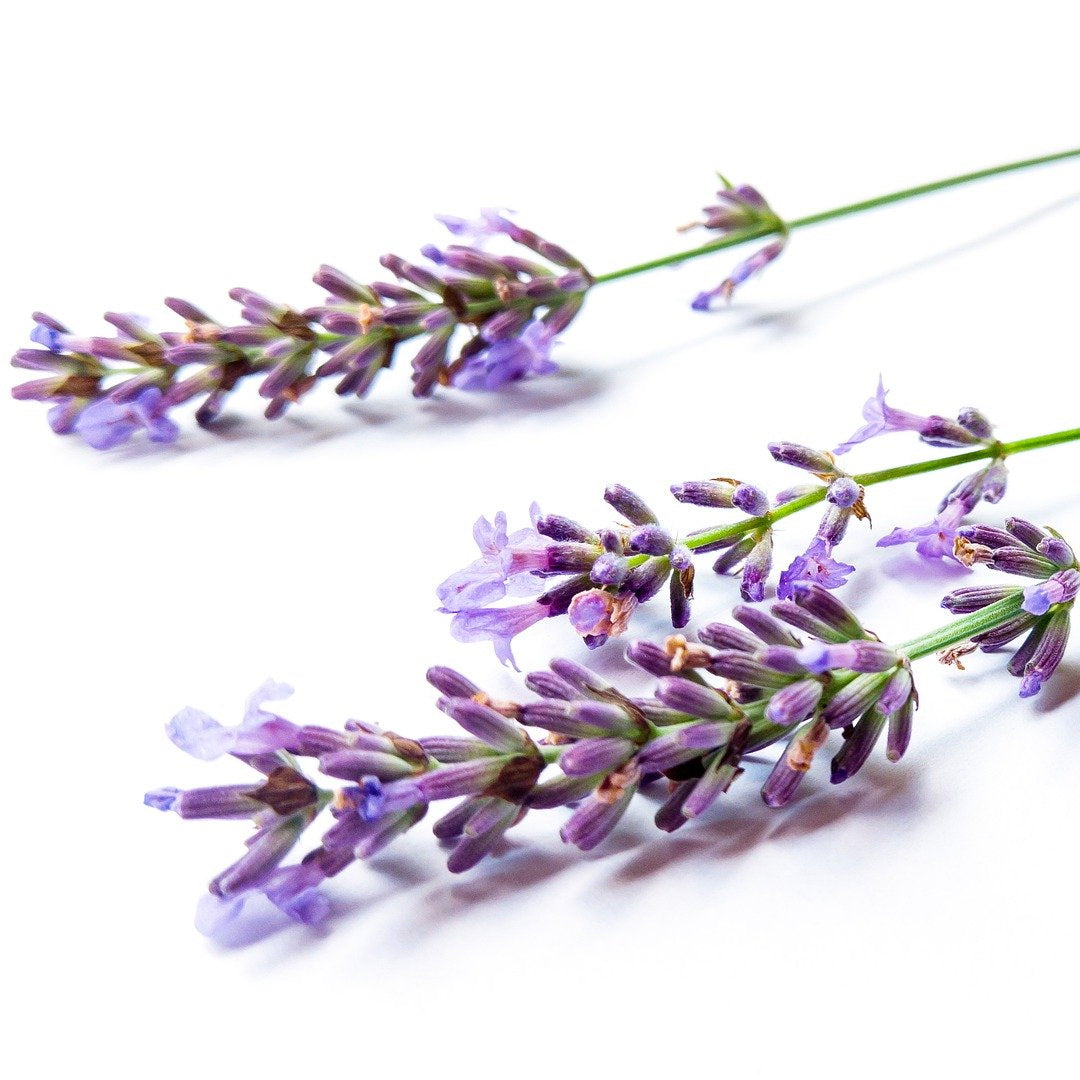 Lavender Oil